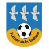 https://img.hhloupan.com/img/football/team/259a1106a33b56d2bb3c458a62ffa2ea.png